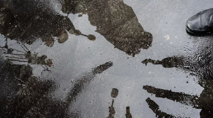 Олимпийский Логистический транспортный центр в Сочи &copy;&nbsp;Фото Нины Зотиной, Юга.ру