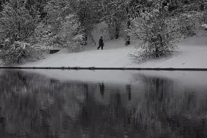 Снег в Краснодаре &copy;&nbsp;Фото Елены Синеок, Юга.ру
