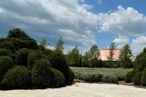  &copy;&nbsp;Фото из телеграм-канала t.me/edinakgardens