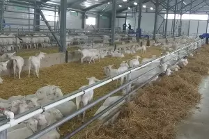  &copy;&nbsp;Фото Юлии Барановой, Юга.ру