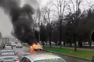  &copy;&nbsp;Скриншот видео из телеграм-канала &laquo;Туподар Краснодар&raquo;, t.me/typodar