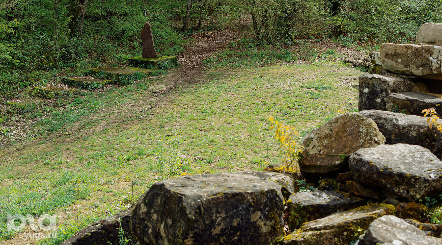  © Фото Юли Шафаростовой, Юга.ру