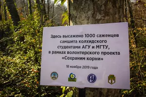  &copy;&nbsp;Фото пресс-службы главы Республики Адыгея