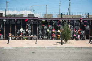  &copy;&nbsp;Фото Елены Синеок, Юга.ру