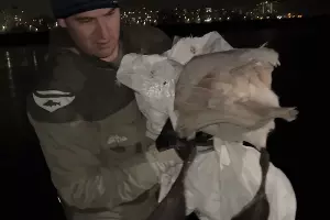  &copy;&nbsp;Скриншот видео из телеграм-канала t.me/Klimovnews