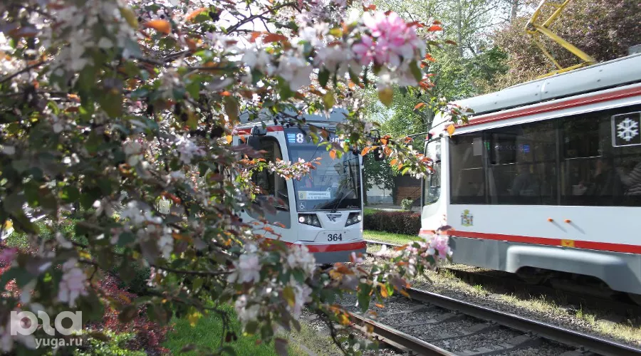  &copy;&nbsp;Фото Марины Солошко, Юга.ру