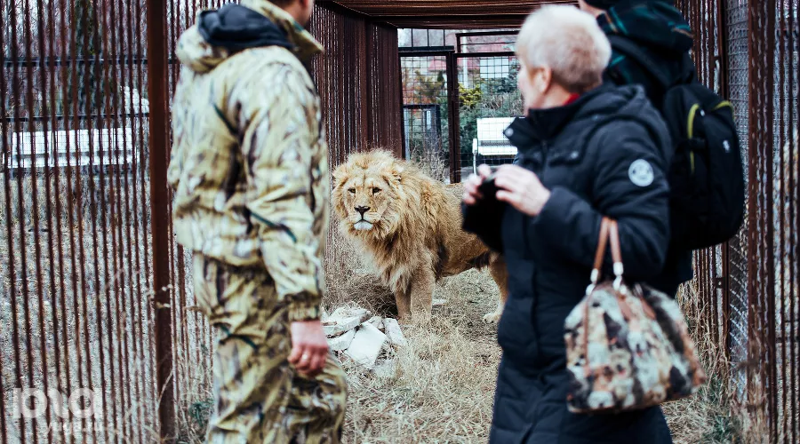  &copy;&nbsp;Денис Яковлев, ЮГА.ру