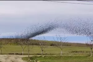 &copy;&nbsp;Скриншот из телеграм-канала &laquo;Новости Краснодара — Город&raquo; https://t.me/krd_gorod_space/1705