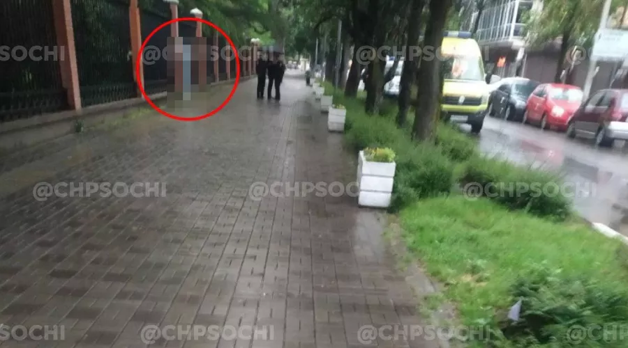  &copy;&nbsp;Фото телеграм-канала &laquo;ЧП Сочи&raquo;, t.me/chp_sochi