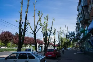  &copy;&nbsp;Фото Евгения Мельченко, Юга.ру