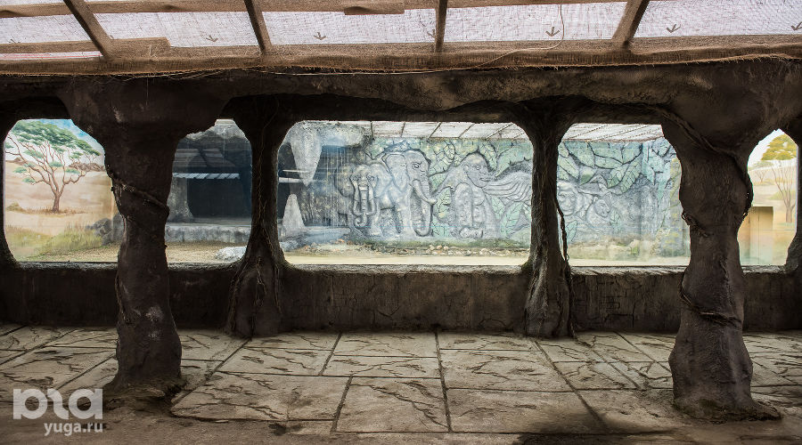  &copy;&nbsp;Фото Елены Синеок, Юга.ру