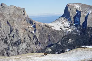  &copy;&nbsp;Фото пресс-службы Кавказского заповедника