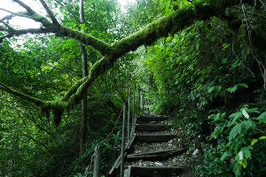  © Фото AmixStudio, freepik.com