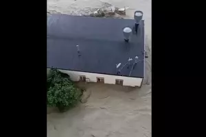  &copy;&nbsp;Кадр из видео t.me/wcups