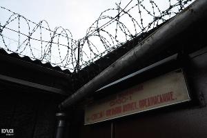  © Фото Елены Синеок, Юга.ру