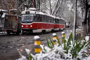 Снег в Краснодаре &copy;&nbsp;Фото Елены Синеок, Юга.ру