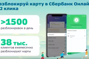  &copy;&nbsp;Скриншот онлайн пресс-конференции Светланы Кирсановой