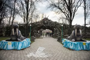 Краснодарский «Сафари-парк» &copy;&nbsp;Фото Елены Синеок, Юга.ру