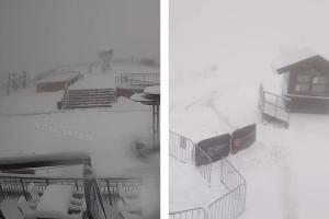  © Коллаж из скриншотов видео из телеграм-канала «Сочи Онлайн»