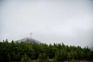 Дорога у Новороссийска &copy;&nbsp;Фото Евгения Мельченко, Юга.ру