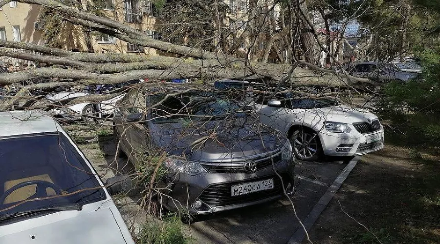  &copy;&nbsp;Фото со страницы instagram.com/typoanapa2.0