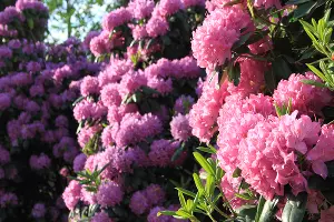  &copy;&nbsp;Фото Марины Солошко, Юга.ру