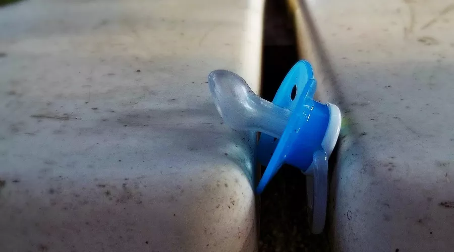  &copy;&nbsp;Фото с сайта pixabay.com