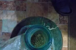  &copy;&nbsp;Фото пресс-службы ГУ МВД РФ по Ставропольскому краю