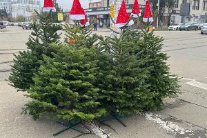  &copy;&nbsp;Фото Марии Журавлевой, Юга.ру