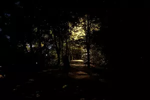  &copy;&nbsp;Фото Дмитрия Пославского, Юга.ру