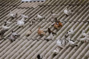  &copy;&nbsp;Фото Дениса Яковлева, Юга.ру