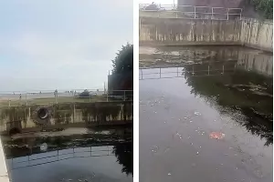  &copy;&nbsp;Коллаж из скриншотов фото из телеграм-канала &laquo;Сириус&raquo;