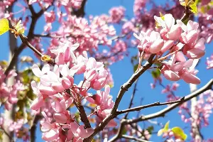  &copy;&nbsp;Фото Анны Петровой, Юга.ру