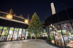 Парк «Краснодар» &copy;&nbsp;Фото Елены Синеок, Юга.ру