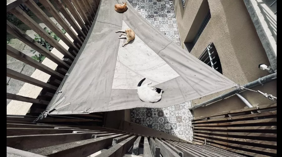 Фото Русланы Кормильчиковой &copy;&nbsp;Скриншот фото из письма от пресс-службы Краснодарского краевого выставочного зала