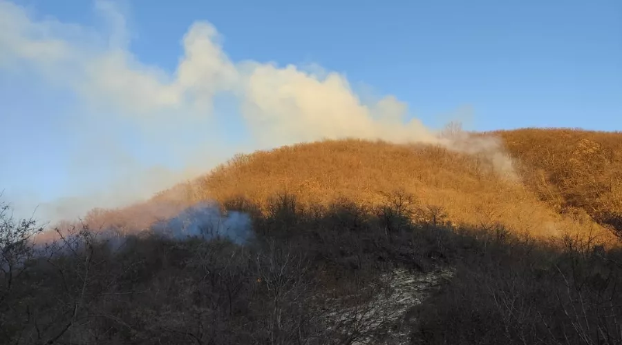  &copy;&nbsp;Фото пресс-службы ГУ МЧС России по Краснодарскому краю