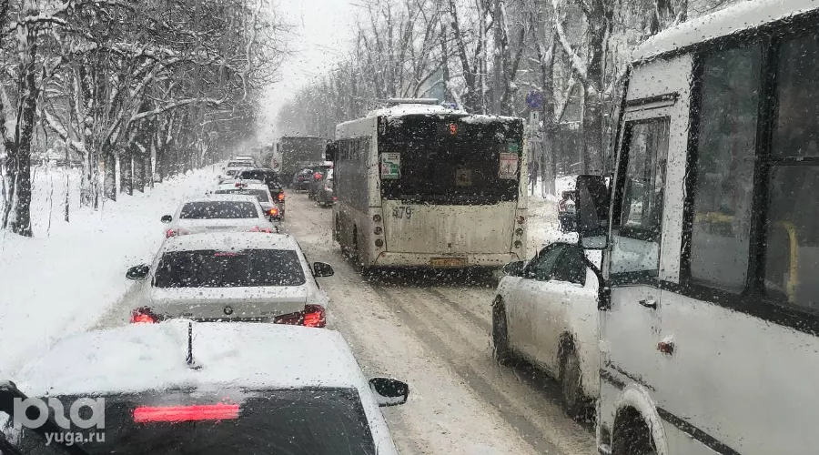  &copy;&nbsp;Фото Анастасии Паньковой, Юга.ру