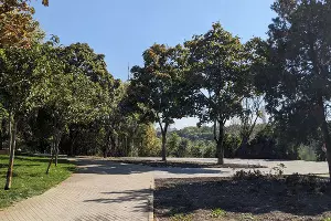  &copy;&nbsp;Фото Александры Прохоренковой-Аксеновой, Юга.ру