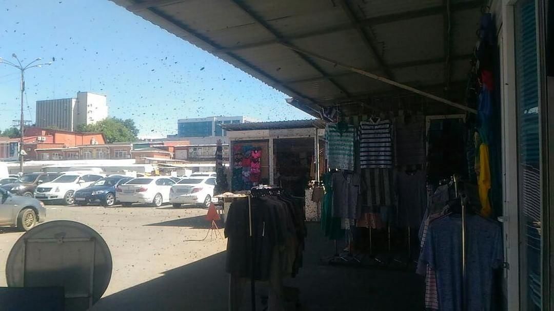 вещевой рынок в краснодаре вишняки. вещевой рынок в краснодаре вишняки. вишняковский рынок краснодар. рынок вишняки краснодар. араик вишняки краснодар.