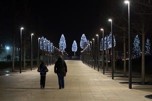 Парк «Краснодар» &copy;&nbsp;Фото Елены Синеок, Юга.ру