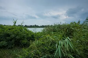 Большой остров &copy;&nbsp;Фото Елены Синеок, Юга.ру