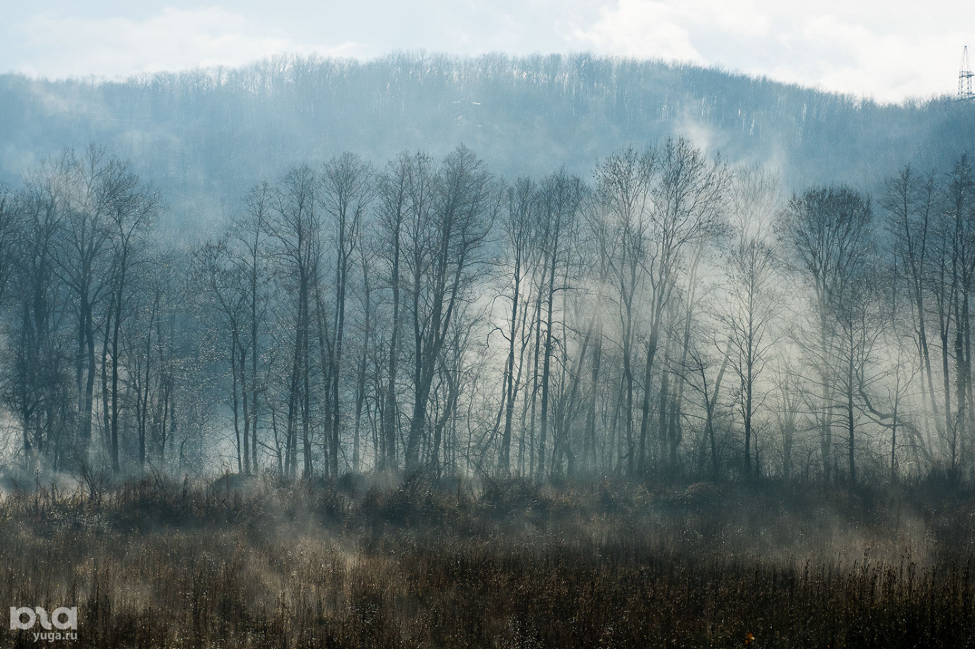Горы Геленджика © Фото Елены Синеок, Юга.ру
