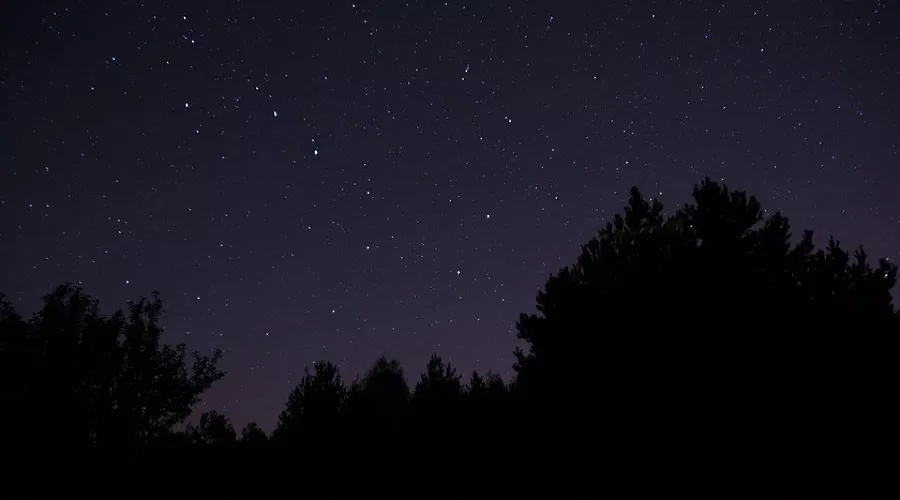  &copy;&nbsp;Фото пользователя Michal Kryński с сайта pixabay.com