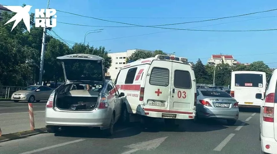  &copy;&nbsp;Фото из телеграм-канала &laquo;Комсомольская правда — Кубань&raquo;, https://t.me/kp_kuban/