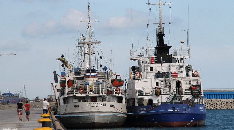 Открытие грузового порта "Имеретинский" в Сочи  © Фото Ирины Лукьяшко, Юга.ру