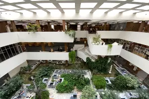 Донская государственная публичная библиотека &copy;&nbsp;Фото Дмитрия Пославского, Юга.ру