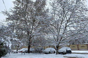 Снег в Краснодаре © Фото Валерии Дульской, Юга.ру