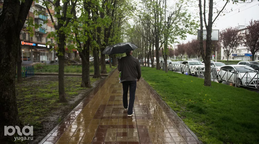  &copy;&nbsp;Фото Елены Синеок, Юга.ру