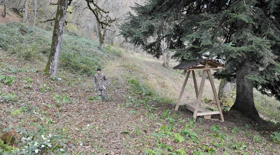  &copy;&nbsp;Фото пресс-службы Кавказского биосферного заповедника