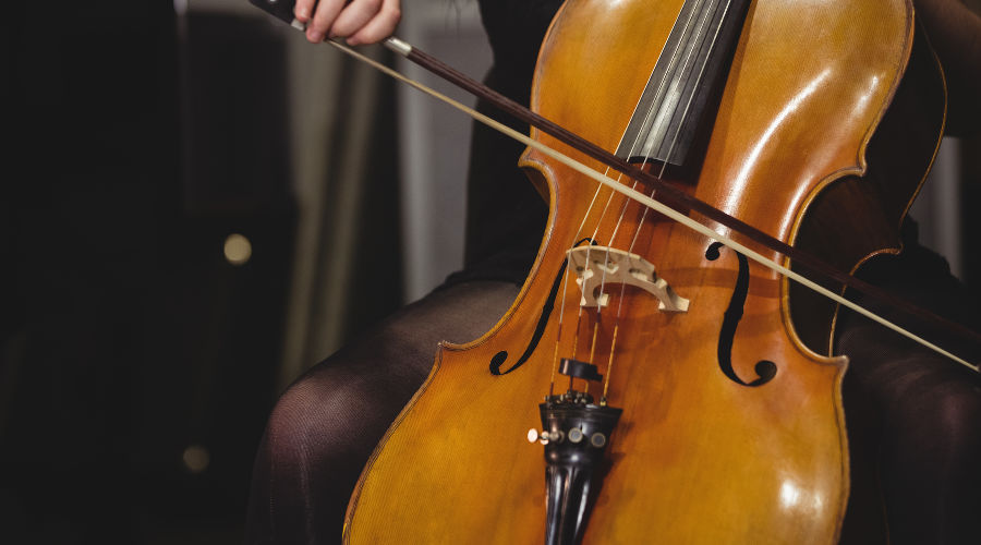  © Фото wavebreakmedia_micro, сайт freepik.com